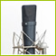 Voice Over Services